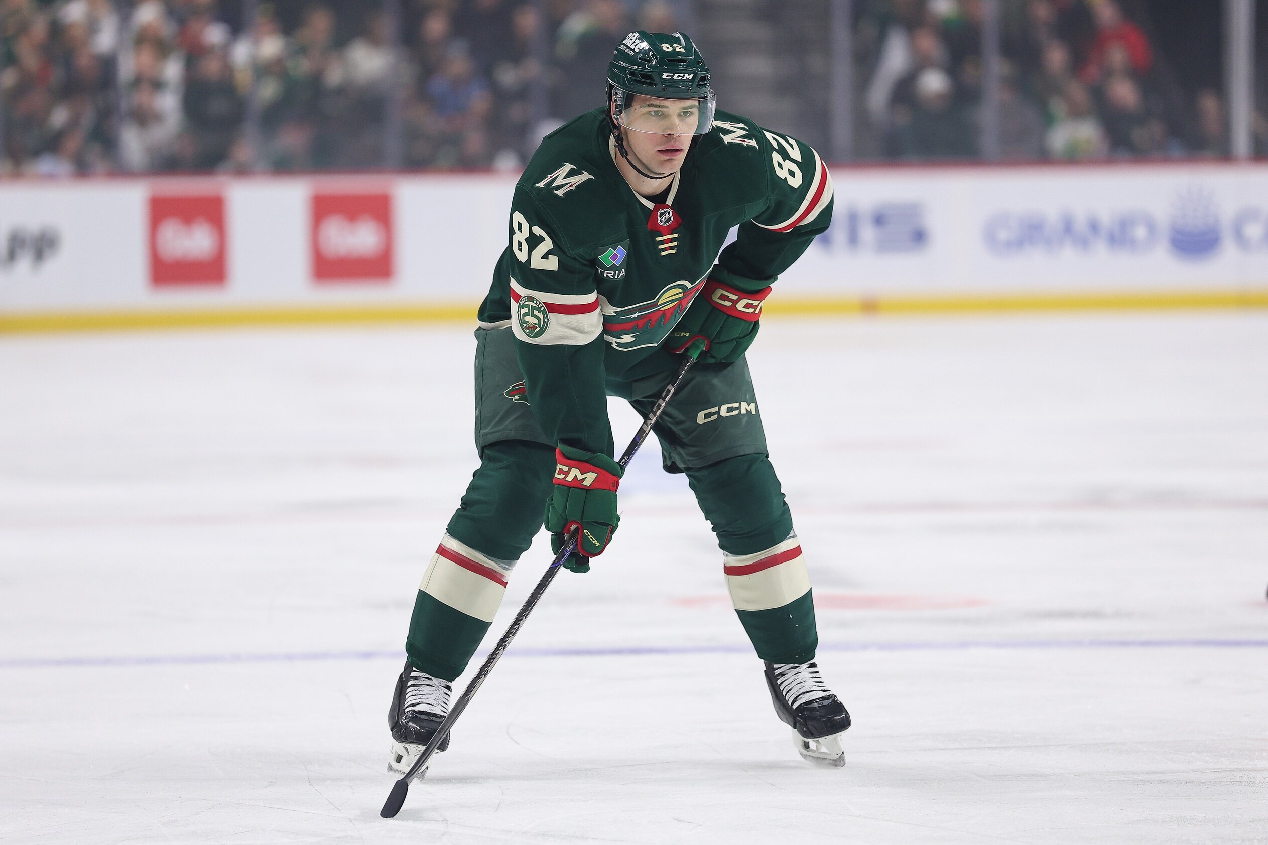 David Spacek ha un nome riconoscibile e una carriera indefinita: il Minnesota Wild