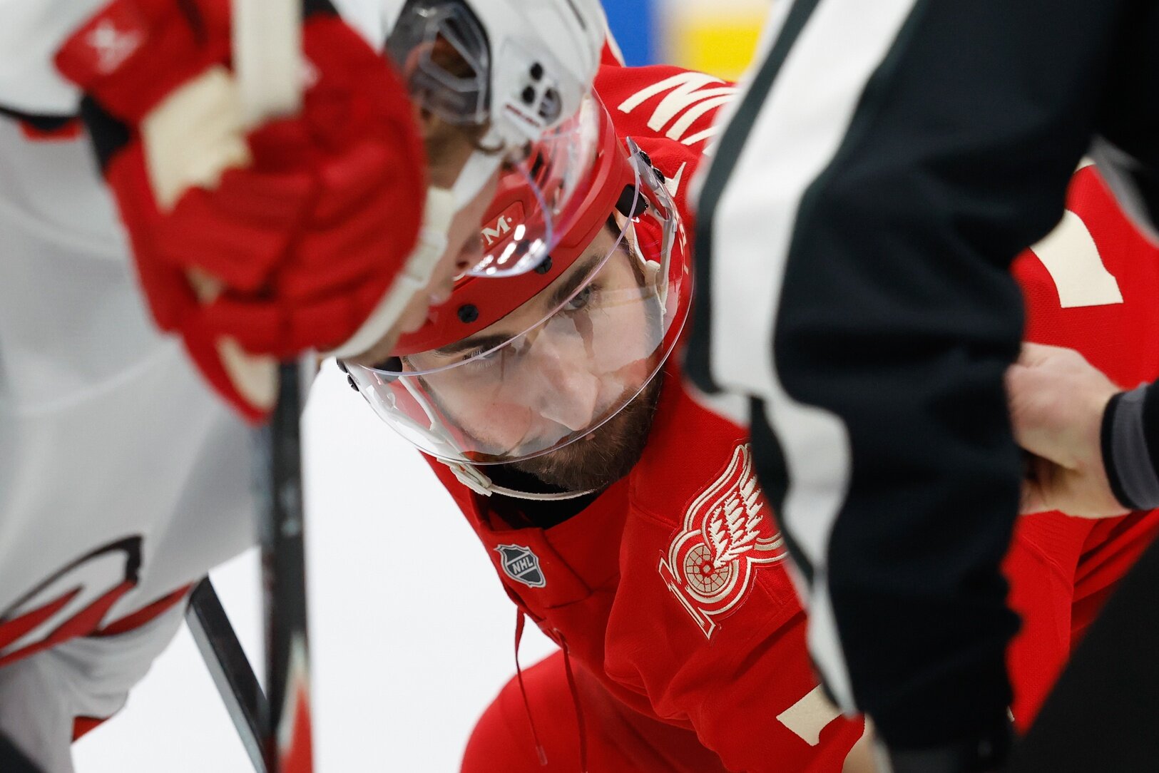 Dylan Larkin non è abbastanza selvaggio da fare una passeggiata nel deserto
