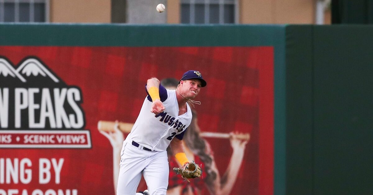 I 50 migliori potenziali clienti dei Minnesota Twins