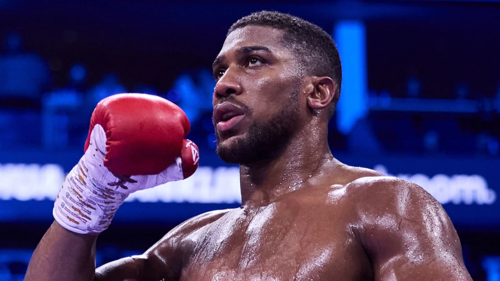 I più grandi incontri rimanenti del 2026 e consigliati dalle quote di boxe