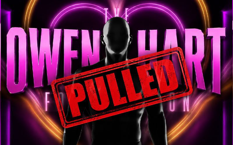 Il motivo per cui la grande star Owen Hart è stata eliminata dal cartone animato