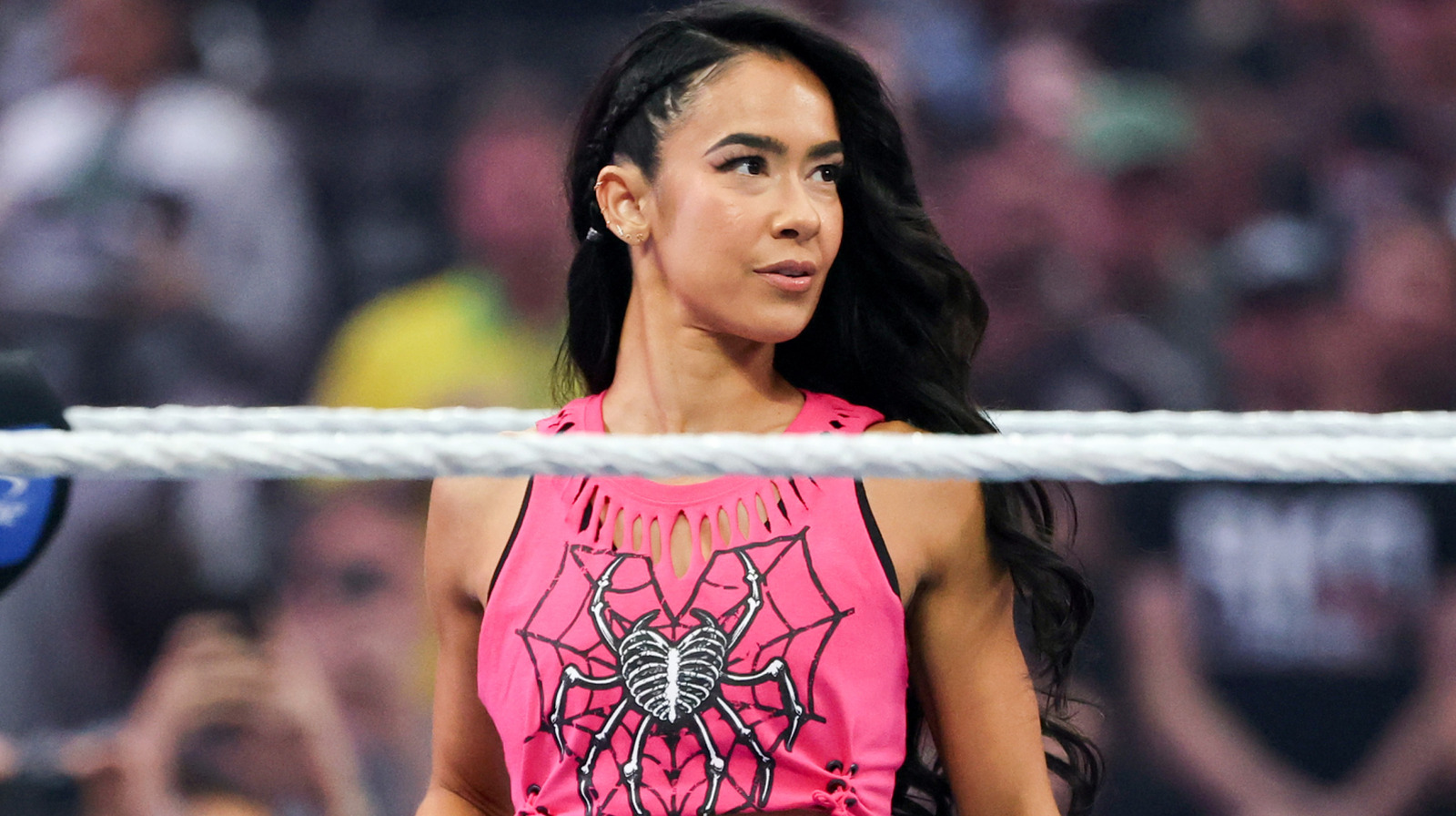 L'ex star della WWE Kaitlyn commenta i recenti ritorni degli ex campioni Divas AJ Lee e Paige