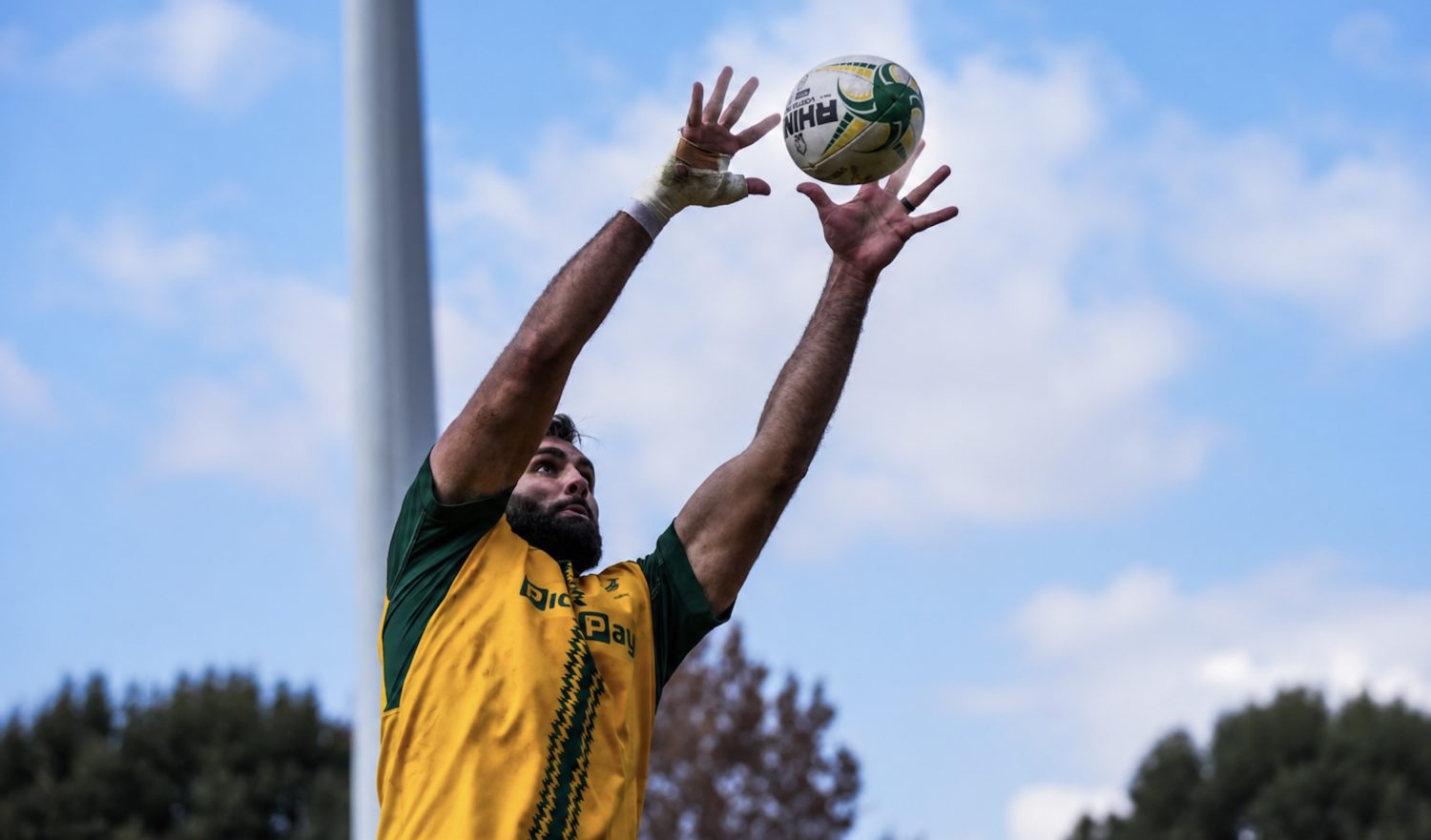 Perché le serrature di Stormers ottengono il cenno di Bok