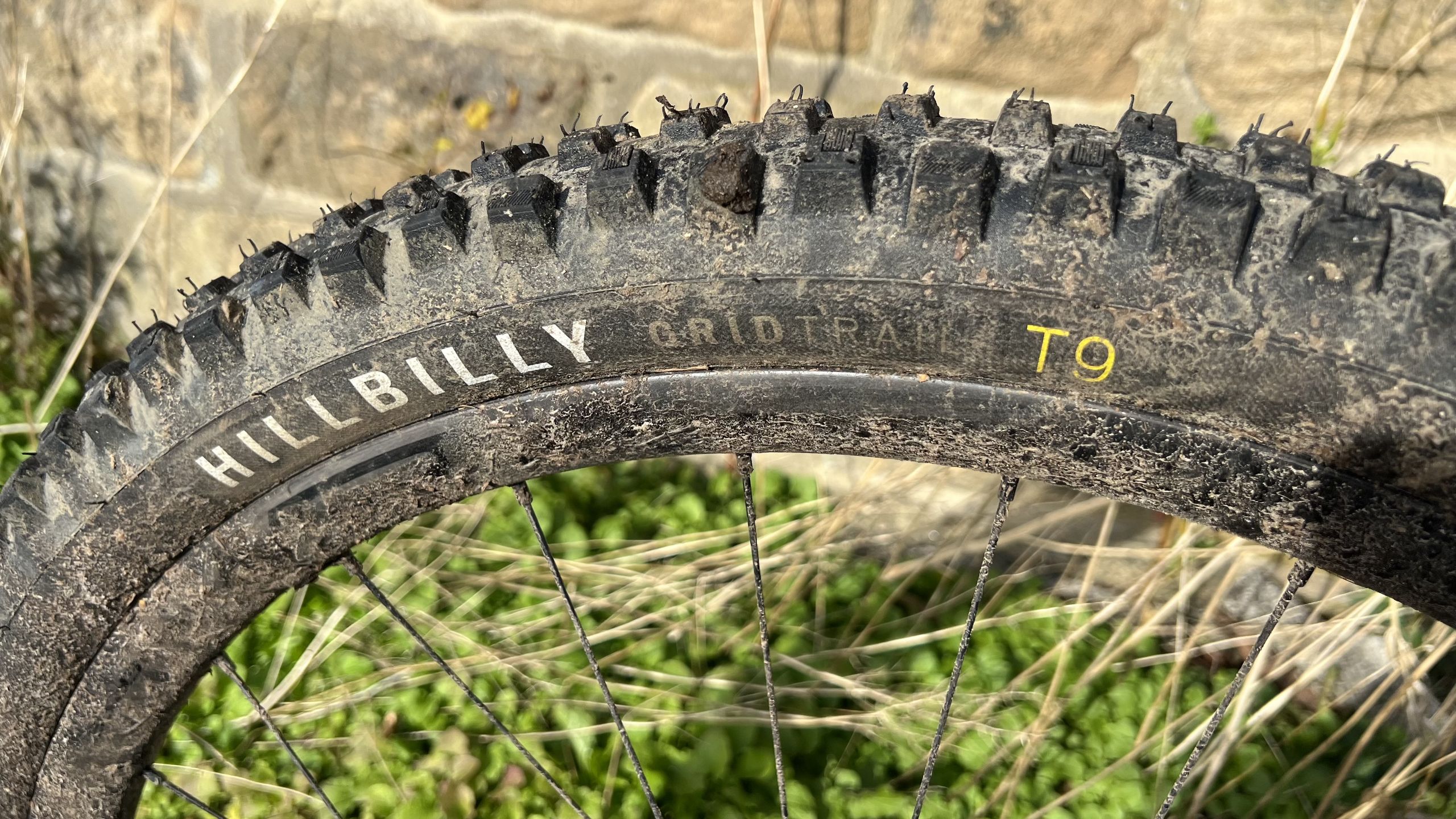 Recensione degli pneumatici Specialized Hillbilly Grid Trail 2Bliss Ready T9