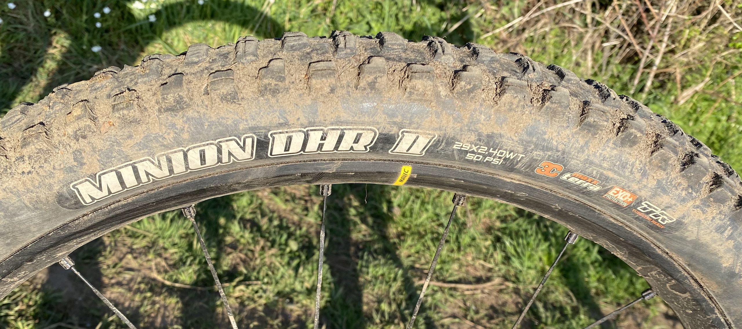 Recensione del Maxxis Minion DHR II
